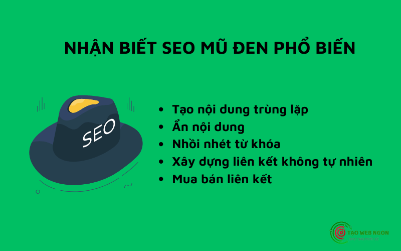 Có rất nhiều kỹ thuật SEO mũ đen khác nhau