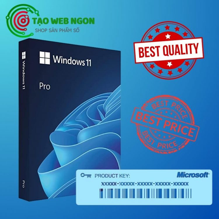 Key Windows 11 Professional CD vĩnh viễn