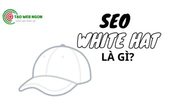 seo white hat là gì