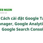 Học SEO website
