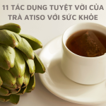 11 tác dụng của trà atiso