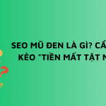 seo mũ đen là gì