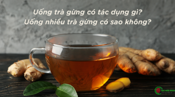 uống trà gừng có tác dụng gì