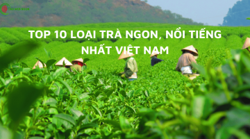 top 10 loại trà ngon nhất việt nam