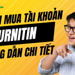 cach-mua-tai-khoan-turntin-huong-dan-chi-tiet