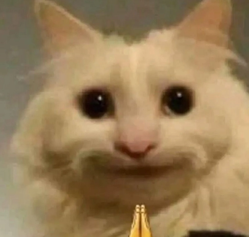 ảnh meme Bật mode chú mèo buồn bã nhìn ra cửa sổ suy tư