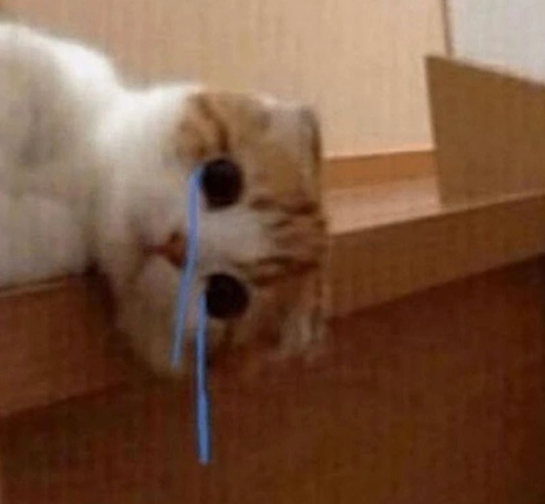 ảnh meme Bật mode mèo con gục mặt vào tay đầy bất lực