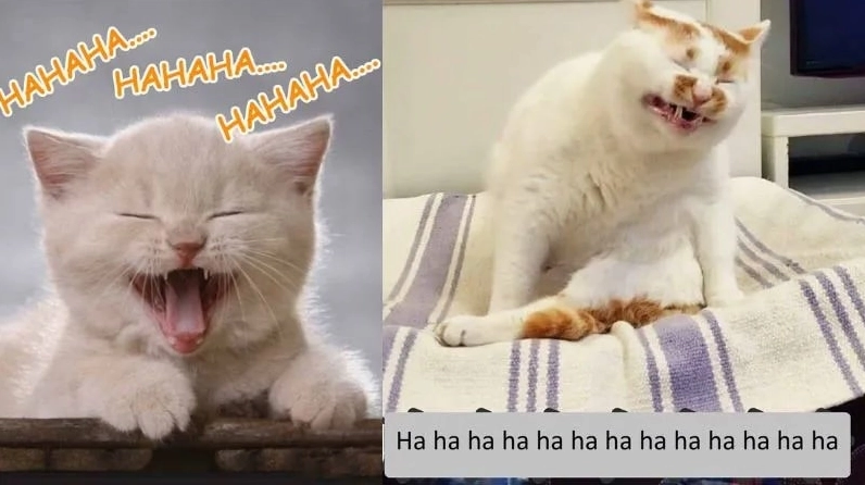 Ảnh meme Cảm lạnh em bé avatar