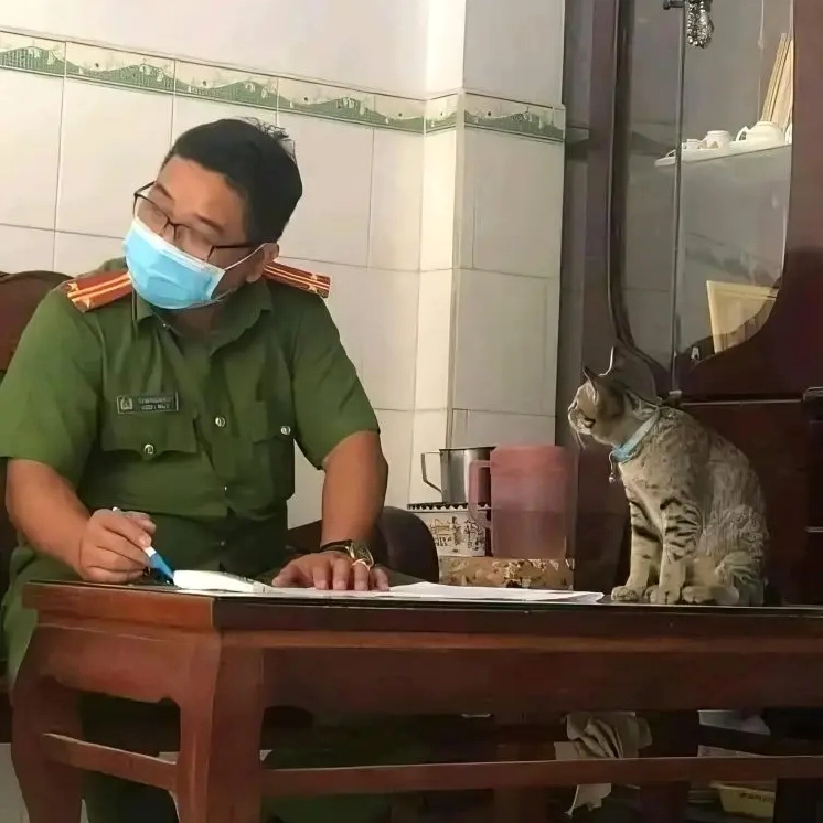 Ảnh meme Chiến thần mèo canh chú công an với vẻ mặt tinh ranh
