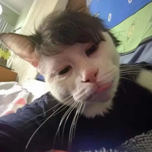 Ảnh meme Chúa tể mèo selfie với vẻ mặt bình thản đầy bí ẩn