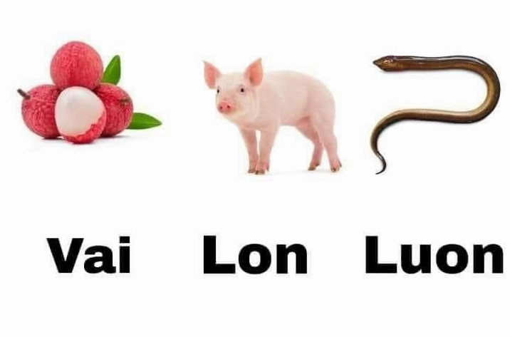 Ảnh meme Chúa tể vai lon luon với biểu cảm đắc thắng và tối tăm