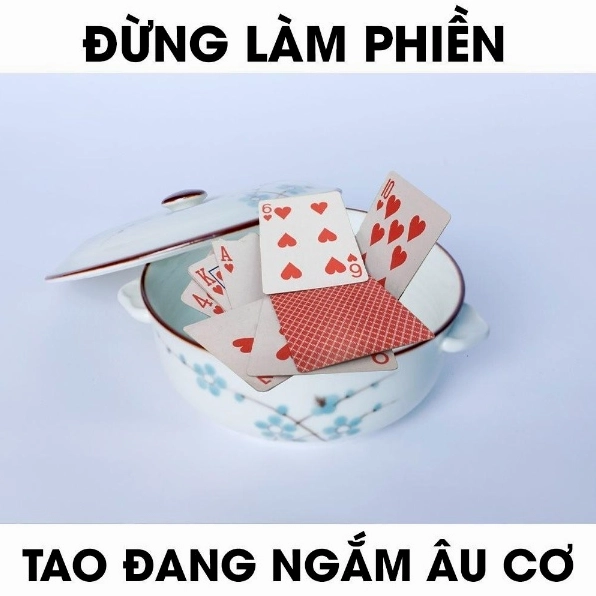 Ảnh meme Chúa tể với thông điệp hài hước Đừng làm phiền tao đang ngắm âu cơ