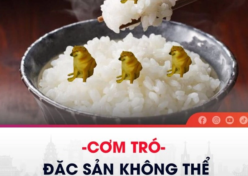 Ảnh meme Cơm tró đáng yêu lan truyền trên mạng xã hội
