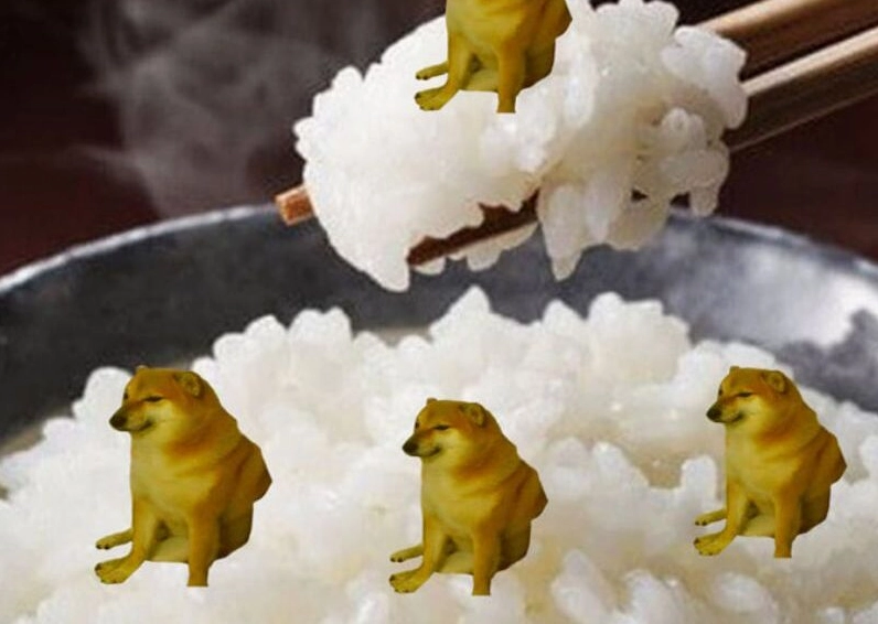 Ảnh meme Cơm tró đáng yêu thể hiện tình cảm của cặp đôi