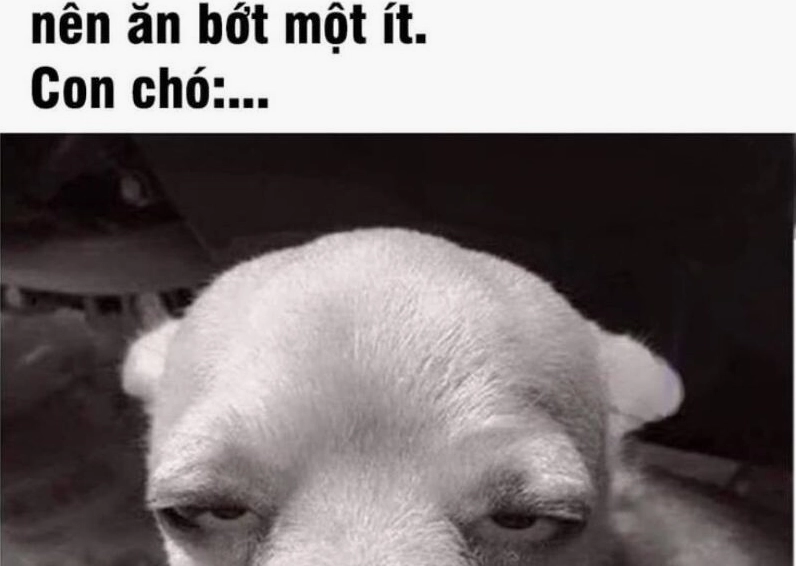 Ảnh meme Cơm tró đúng nghĩa đen khiến người xem bật cười