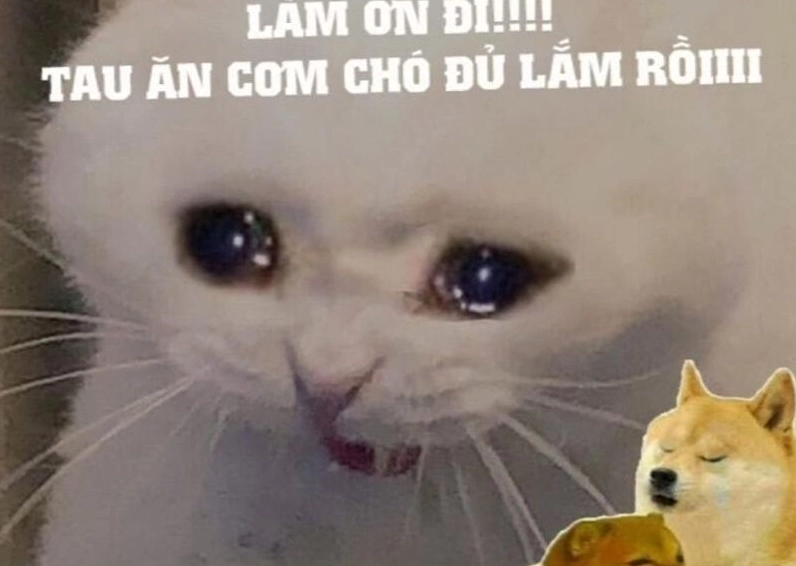 Ảnh meme Cơm tró hài hước với cặp đôi phát cẩu lương
