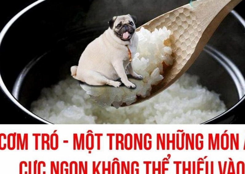 Ảnh meme Cơm tró kèm caption hài hước bựa làm cười nghiêng ngả