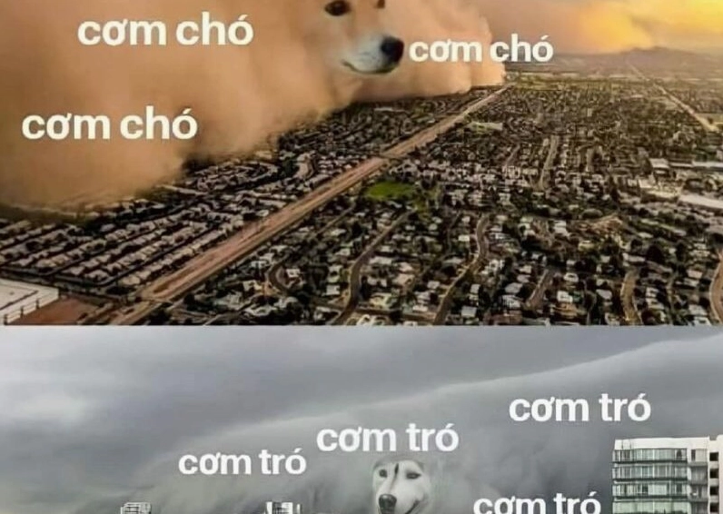 Ảnh meme Cơm tró và biểu cảm tức cười của người xem FA