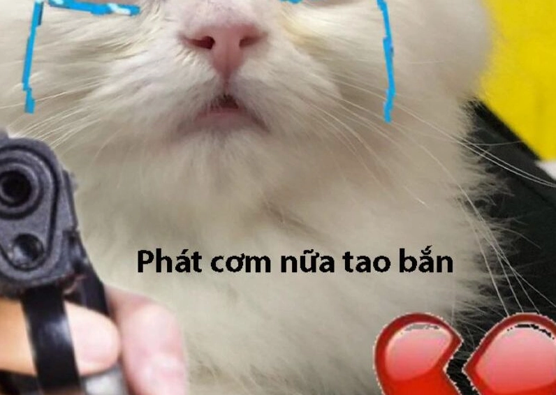 Ảnh meme Cơm tró với biểu cảm trầm tư của người chứng kiến