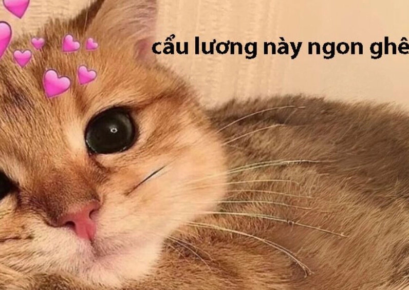 Ảnh meme Cơm tró với cặp đôi và phản ứng vui nhộn của FA