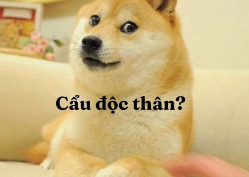 Ảnh meme Cơm tró với người đàn ông chống lại sự ngọt ngào