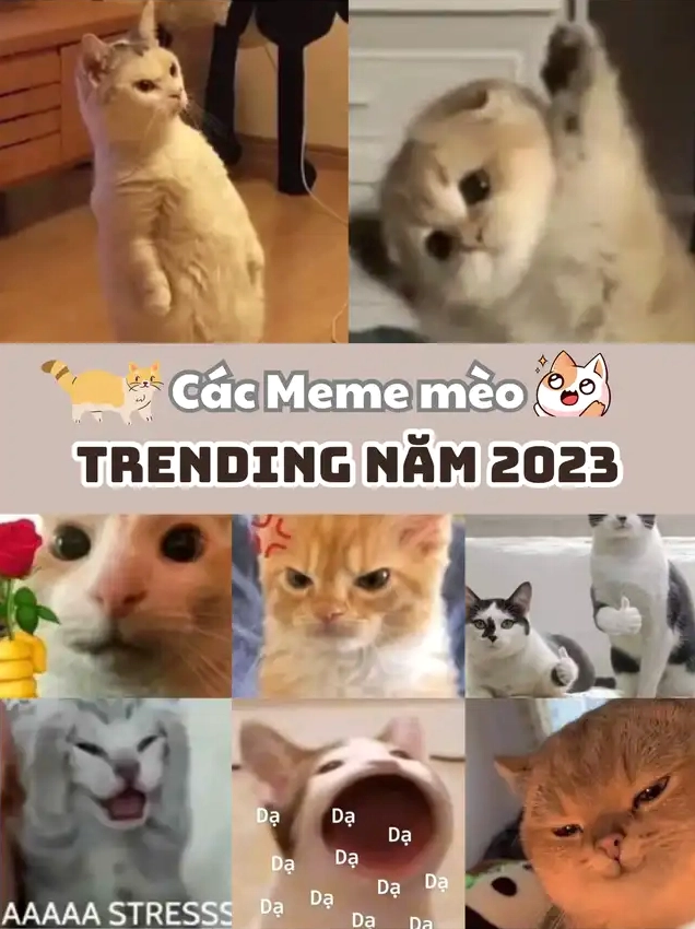 Ảnh meme Đăng xuất của chú mèo đáng yêu với ánh sáng trắng