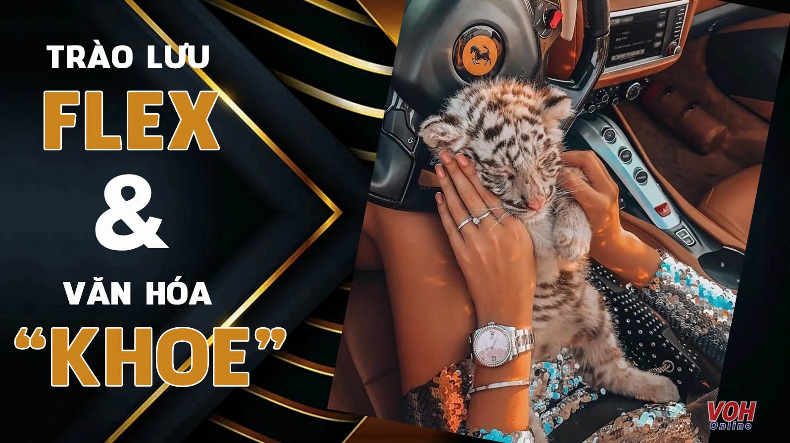 Ảnh meme Đỉnh nóc kịch trần flex