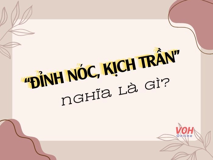 Ảnh meme Đỉnh nóc kịch trần giải mã trend