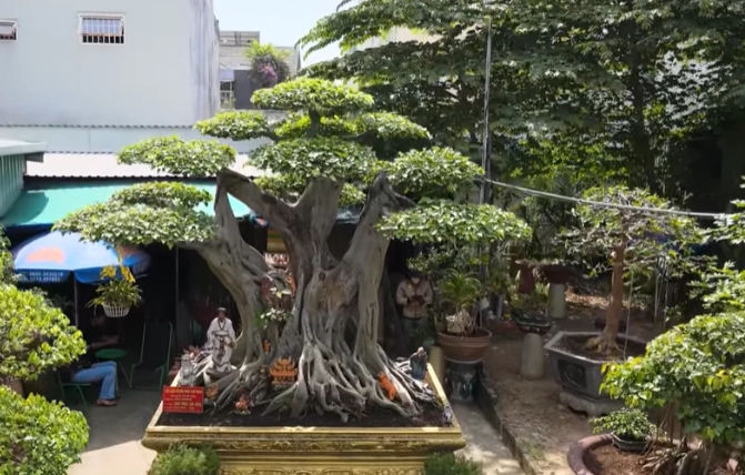 Ảnh meme Độc lạ Bình Dương về một tình huống khó đỡ và hài hước