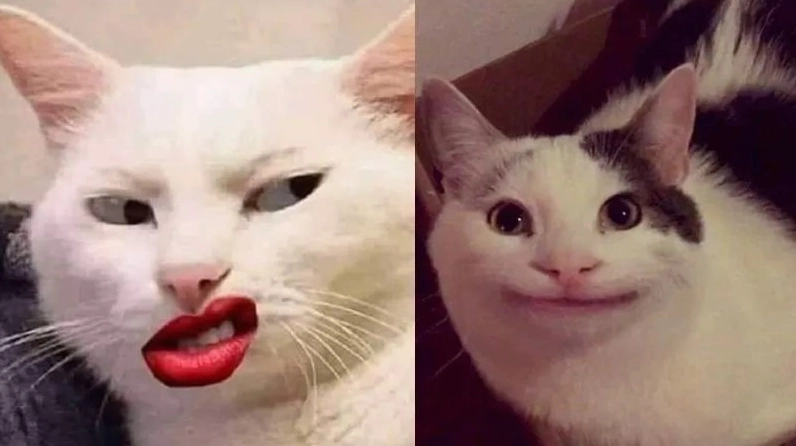 Ảnh meme Đu trend hài bựa với nụ cười đểu vui nhộn