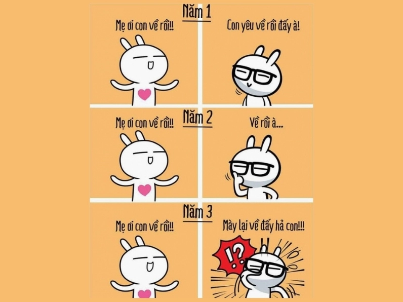 Ảnh meme Gái phố phụ huynh 3 năm đại học