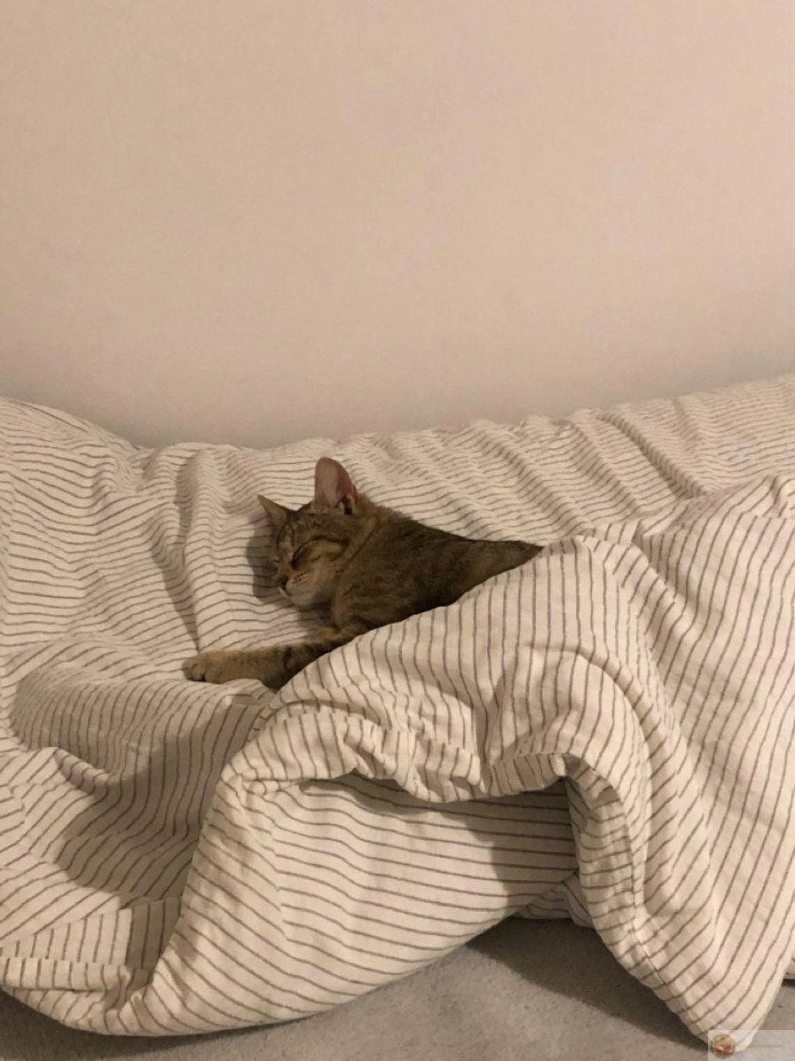 Ảnh meme Gòi xong bối rối không biết thứ mấy sau khi ngủ