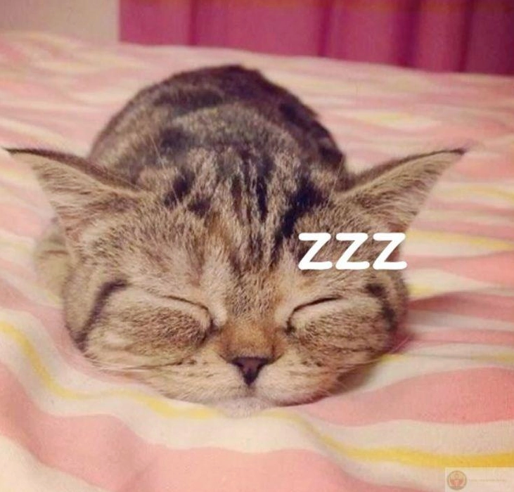 Ảnh meme Gòi xong khi không ai hiểu sức quyến rũ của chiếc giường