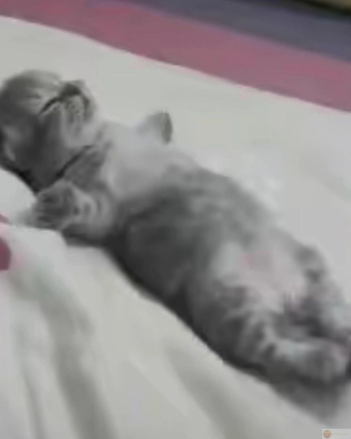 Ảnh meme Gòi xong thêm 5 phút ngủ mỗi ngày đều muộn