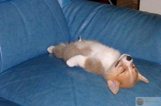 Ảnh meme Gòi xong với giấc ngủ ngon nhất khi không nên ngủ