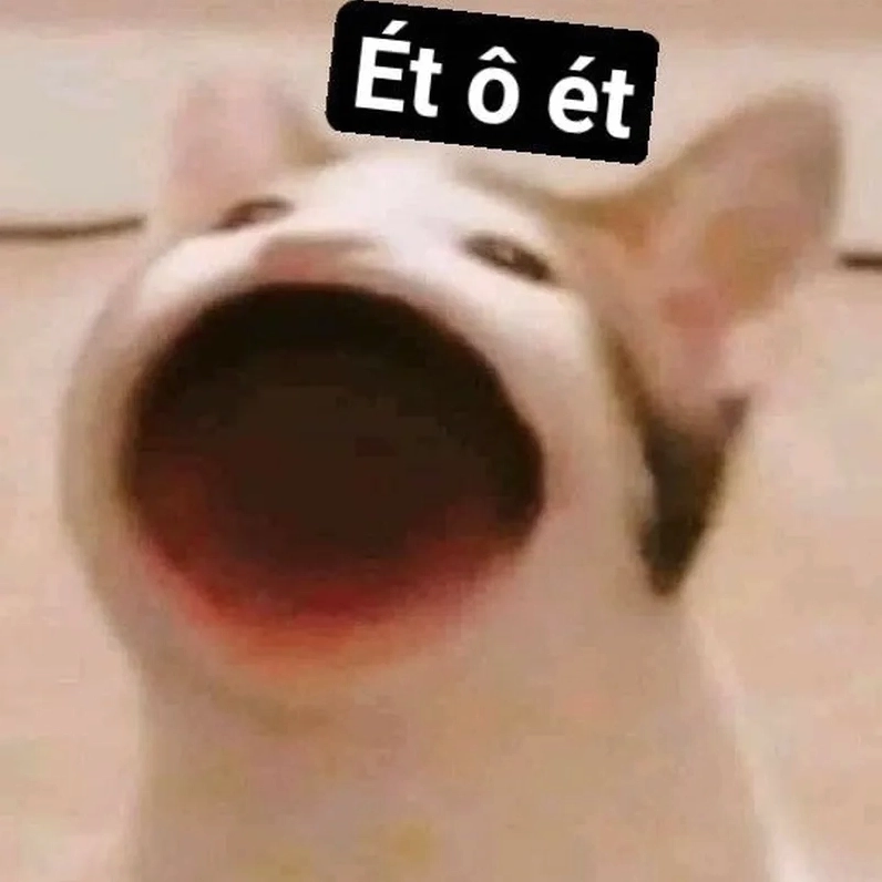 Ảnh meme Green flag drama ét o ét che ô