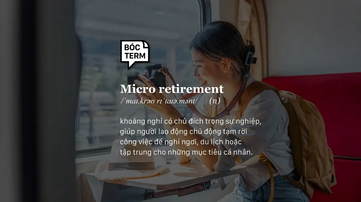 Ảnh meme Green flag micro retirement lãng mạn