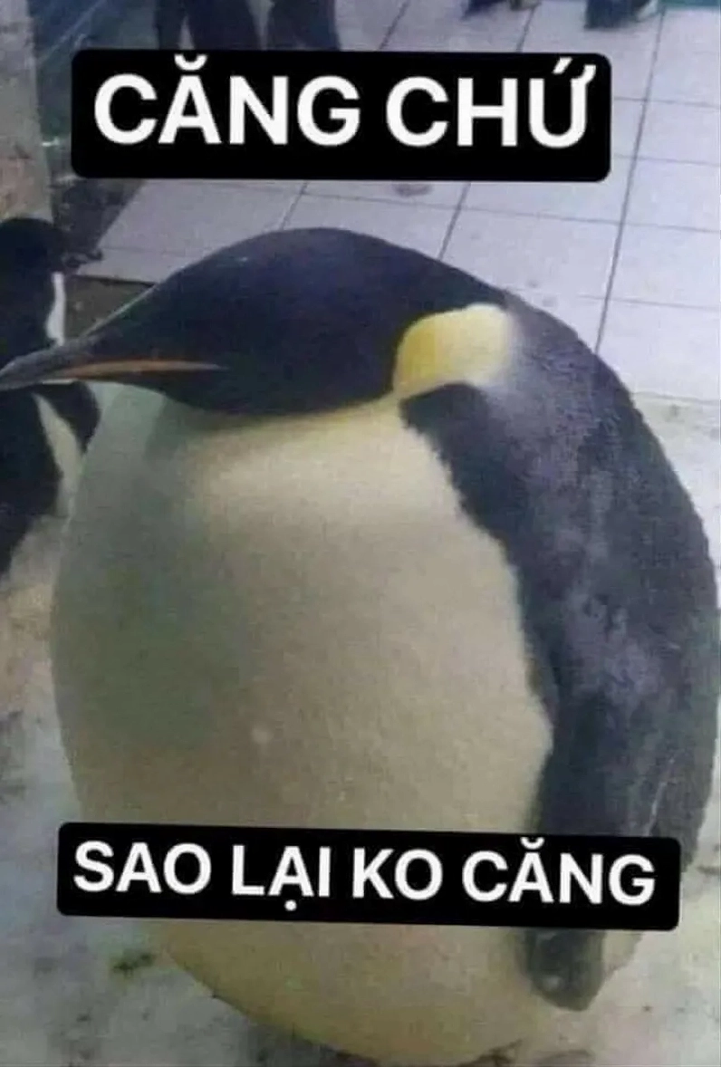 Ảnh meme Hệ tư tưởng hài hước cực chất