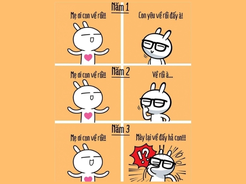 Ảnh meme Hệ tư tưởng phụ huynh đại học