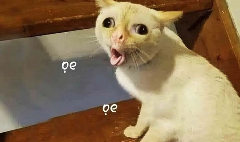 Ảnh meme Hướng ngoại part-time với biểu cảm vui nhộn và hồn nhiên