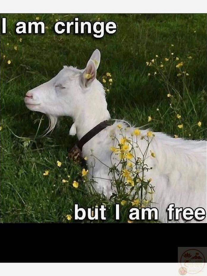 ảnh meme Khum đang viral khắp các trang mạng xã hội