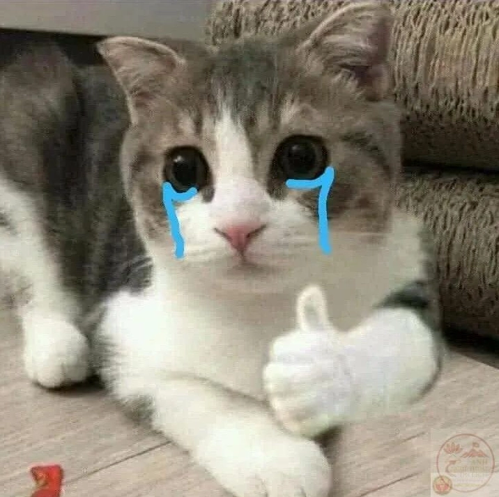 ảnh meme Khum mang tính đời thường và dễ liên tưởng