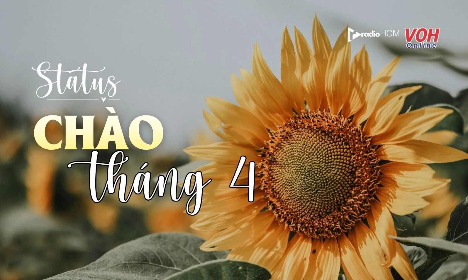 Ảnh meme Kiếp nạn thứ 82 chào tháng mới