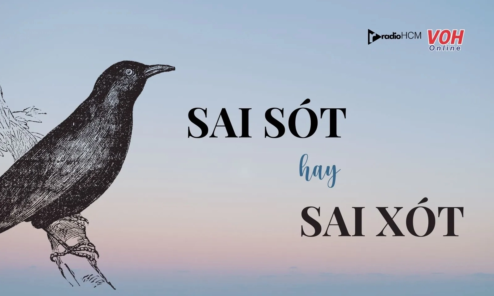 Ảnh meme Kiếp nạn thứ 82 sai sót hài hước