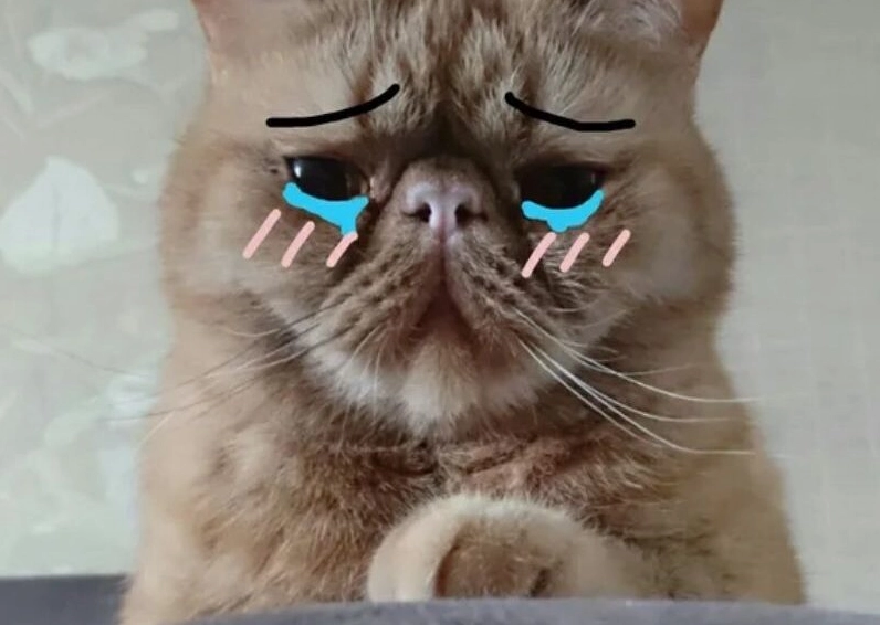 Ảnh meme Lụy tình chú mèo thất tình ngồi suy tư buồn bã