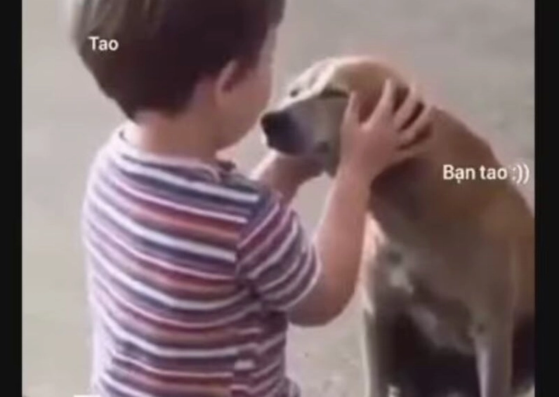 Ảnh meme Lụy tình về nỗi buồn khi bạn thân thất tình