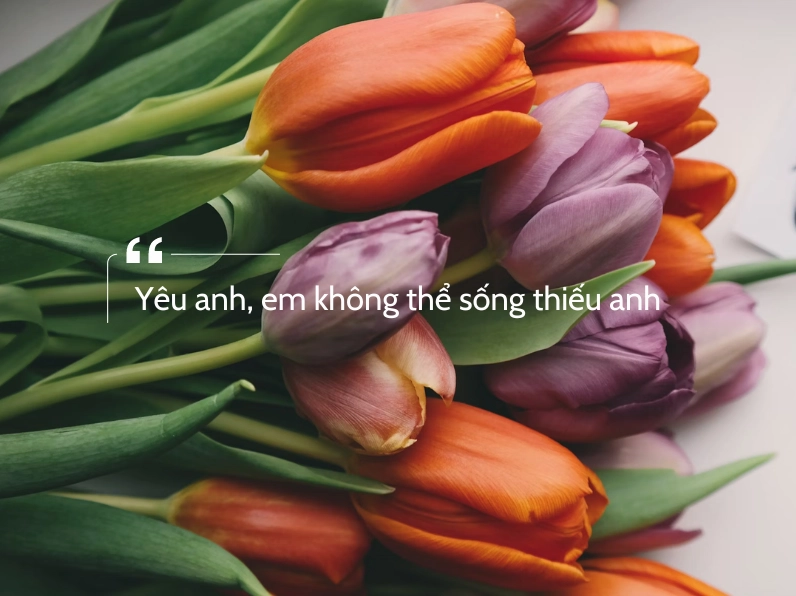 Ảnh meme Lụy tình với cap nhớ nhung người yêu cũ