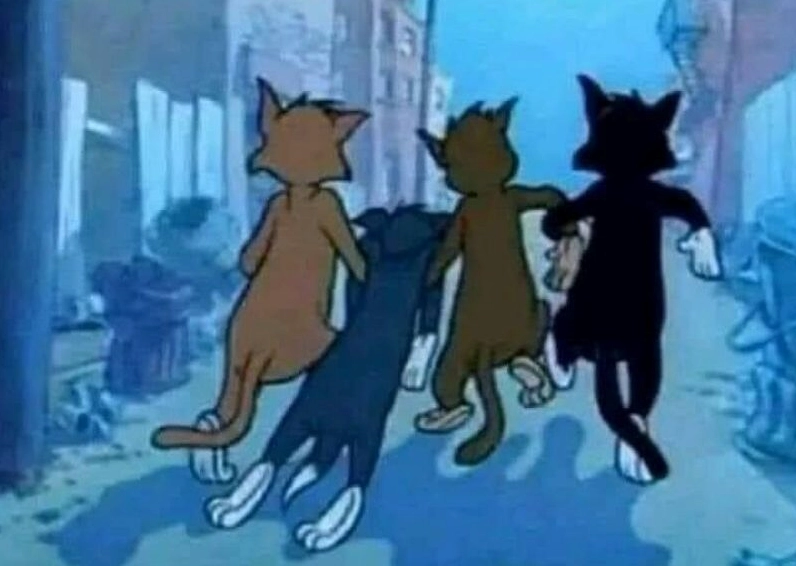 Ảnh meme Lụy tình với lời khuyên cô ấy không thích ông đâu