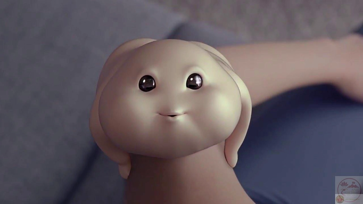 Ảnh meme Mất gốc với sự biến mất đầy bất ngờ