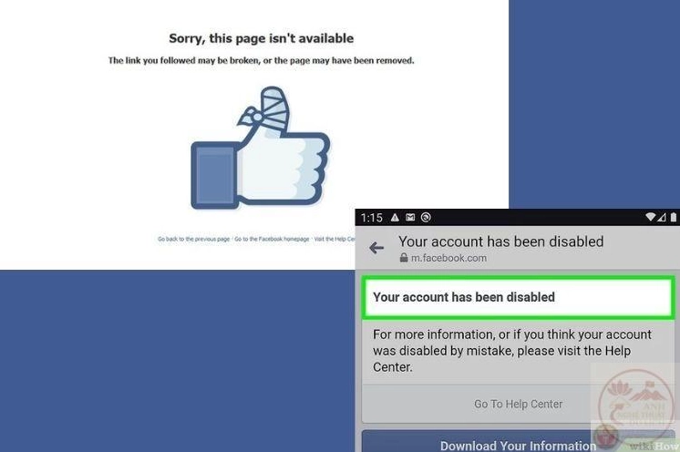 Ảnh meme Mất gốc 